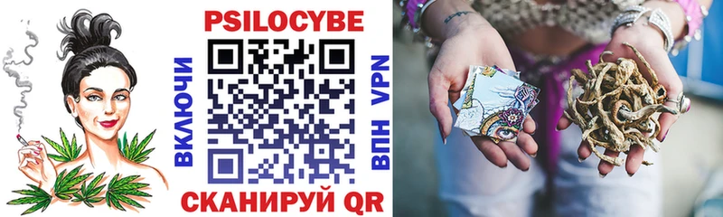 Галлюциногенные грибы Psilocybine cubensis Шумерля